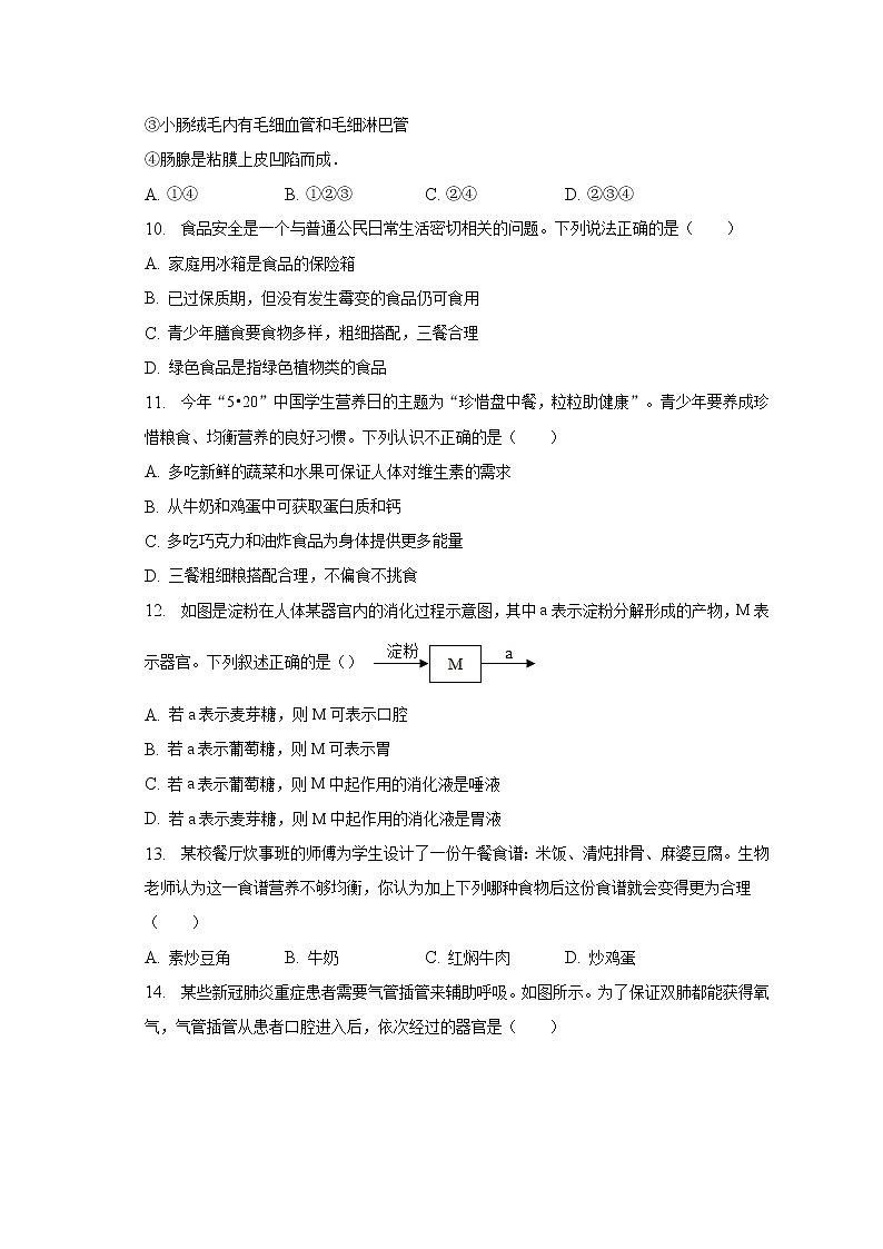 2022-2023学年山东省济宁市金乡县七年级（下）月考生物试卷（3月份）（含解析）第3页