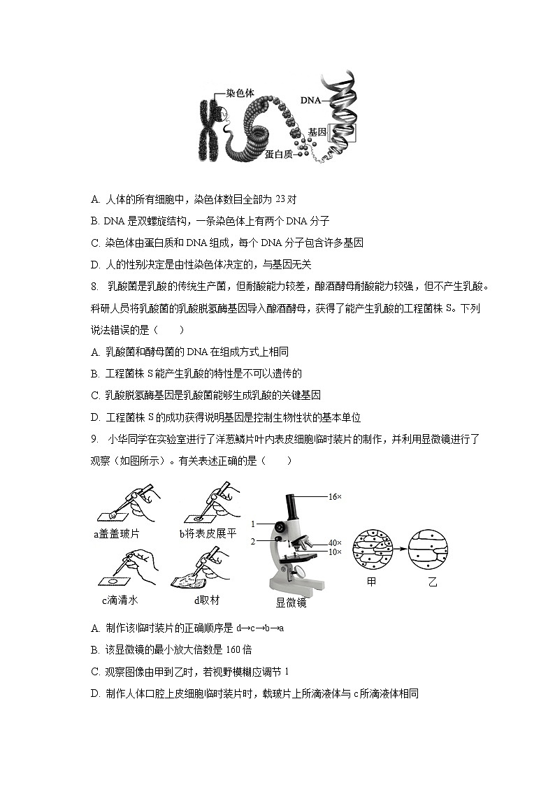 2022-2023学年山东省德州市齐河县马集乡中学八年级（下）第一次月考生物试卷（含解析）03