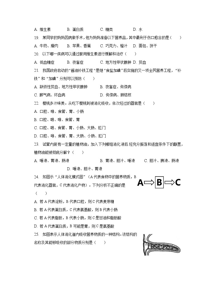 2022-2023学年重庆市璧山中学教育集团校联合七年级（下）月考生物试卷（3月份）（含解析）第3页