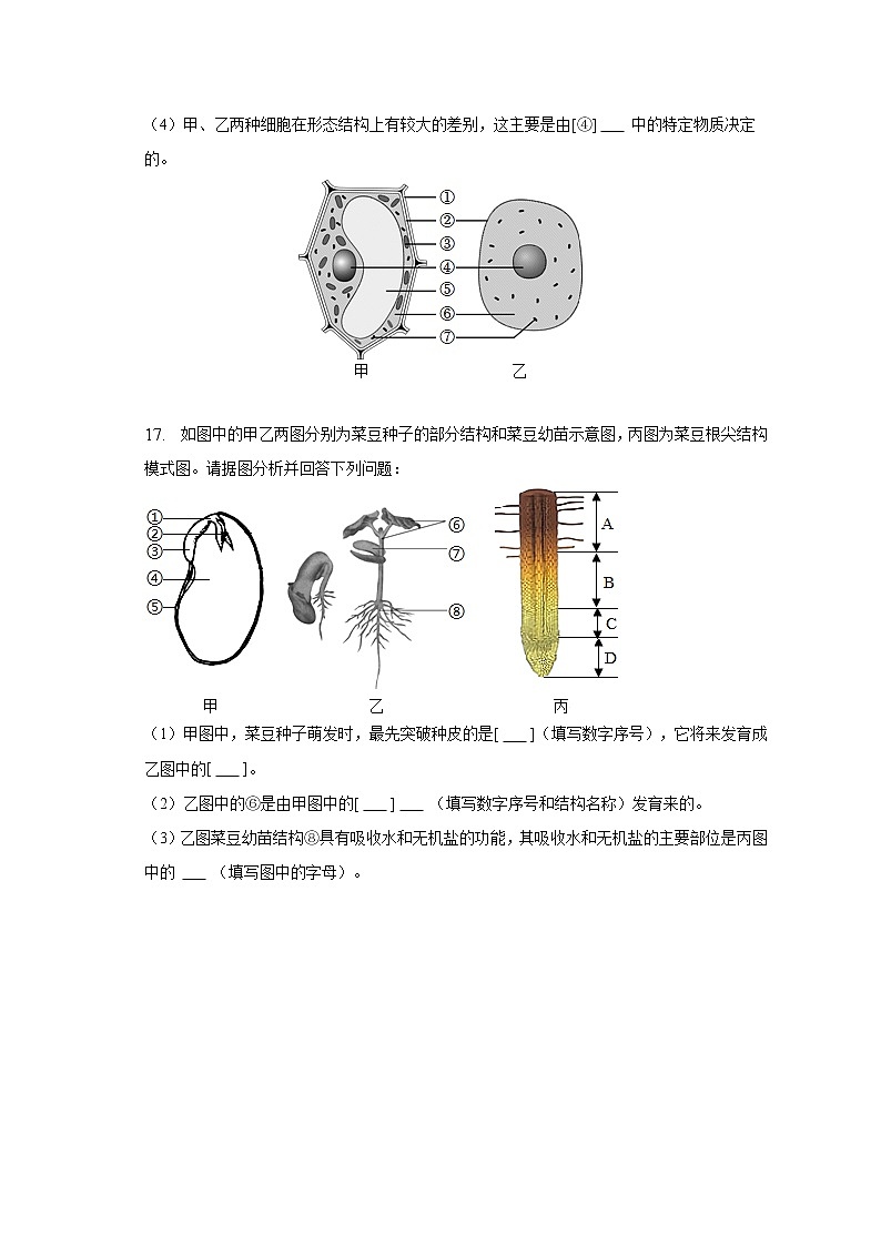 2022-2023学年广西河池市环江县七年级（上）期末生物试卷（含解析）03