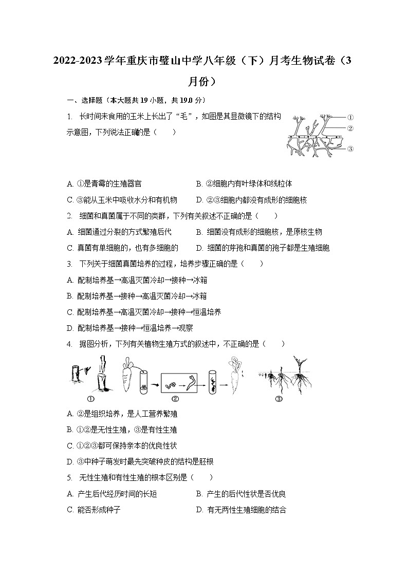 2022-2023学年重庆市璧山中学八年级（下）月考生物试卷（3月份）（含解析）第1页