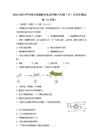 2022-2023学年四川省绵阳市东辰学校八年级（下）月考生物试卷（3月份）（含解析）