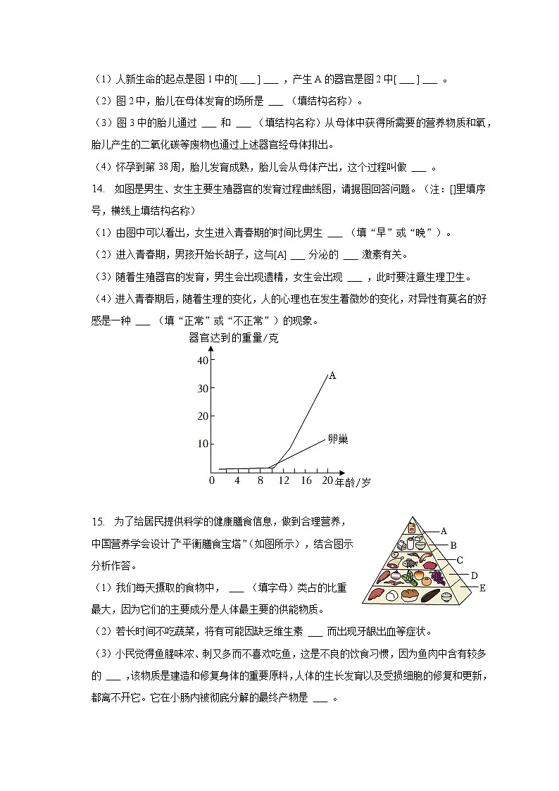 2022-2023学年广西南宁市七年级（下）第一次段考生物试卷（含解析）第3页