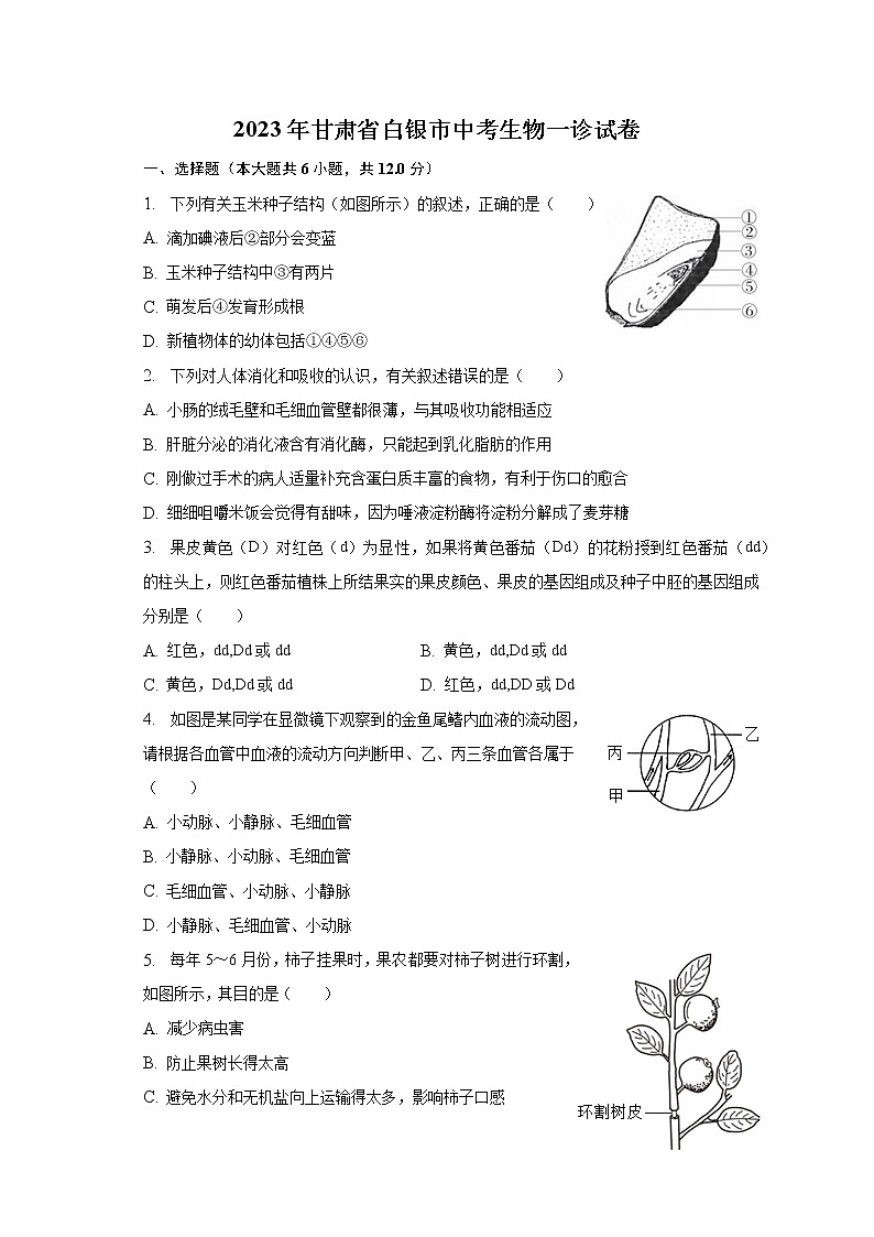 2023年甘肃省白银市中考生物一诊试卷（含解析）01