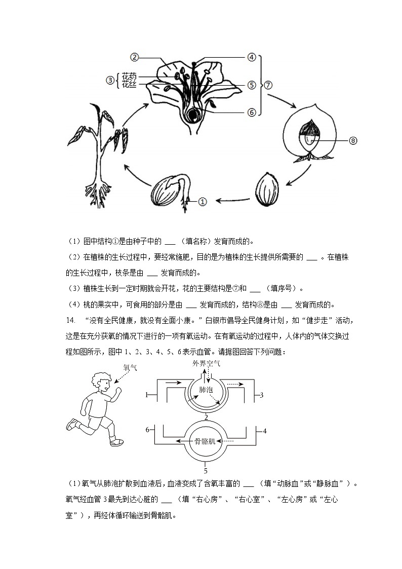 2023年甘肃省白银市中考生物一诊试卷（含解析）03