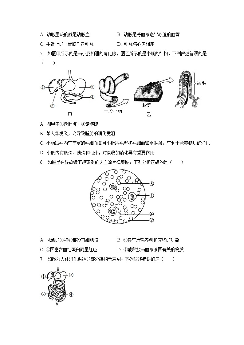 2022-2023学年安徽省淮南市西部地区七年级（下）第一次月考生物试卷（含解析）02