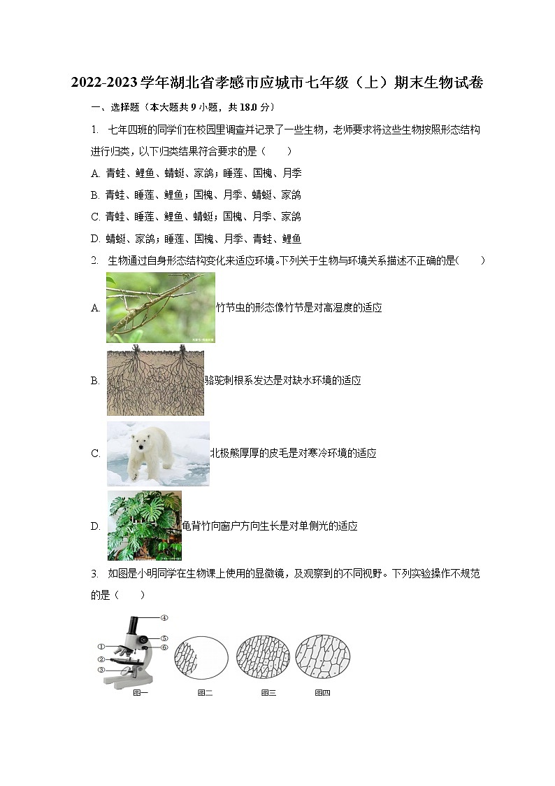 2022-2023学年湖北省孝感市应城市七年级（上）期末生物试卷（含解析）第1页