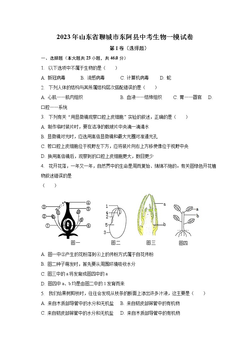 2023年山东省聊城市东阿县中考生物一模试卷（含解析）01