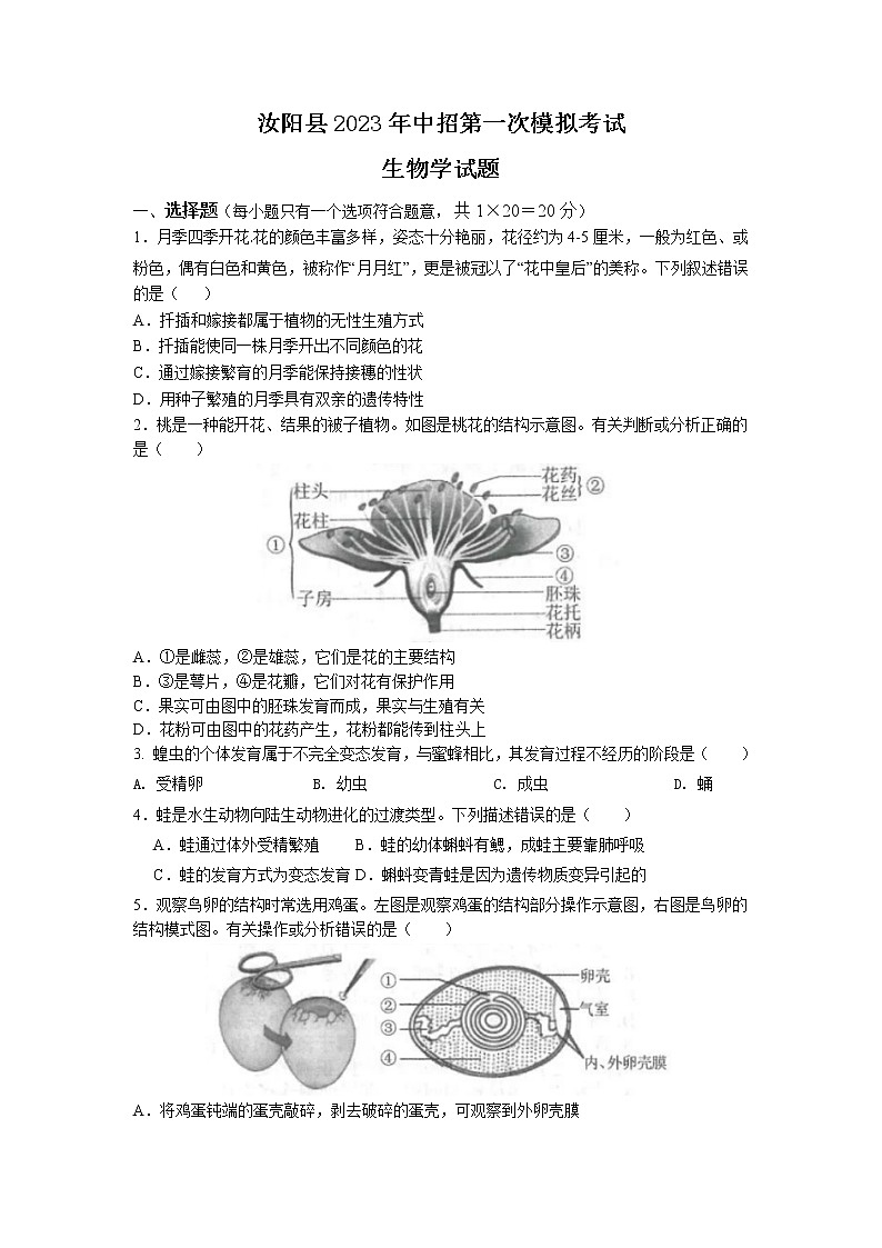 2023年河南省汝阳县中招第一次模拟考试生物试题第1页