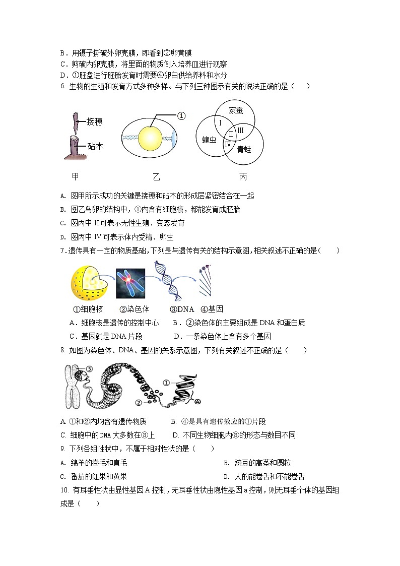 2023年河南省汝阳县中招第一次模拟考试生物试题第2页