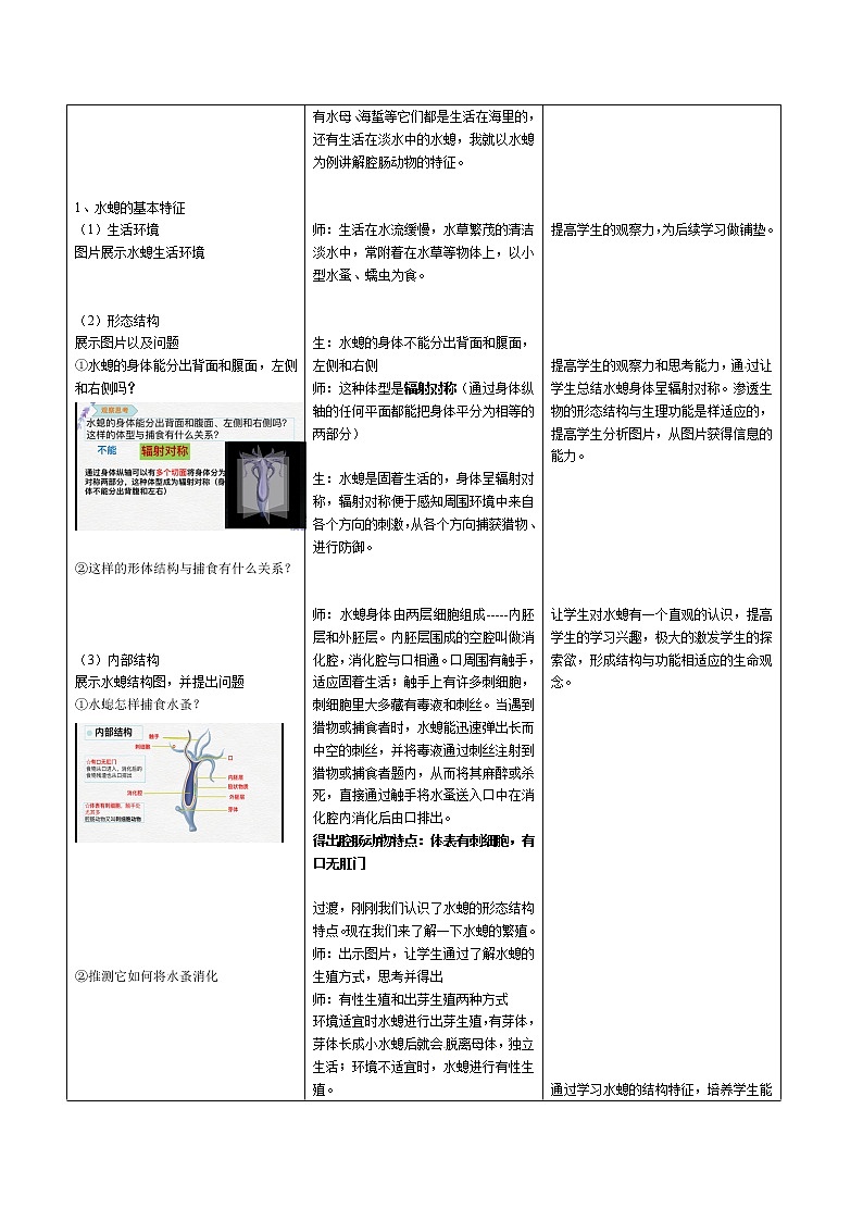 5.1.1《腔肠动物和扁形动物》课件+教案02