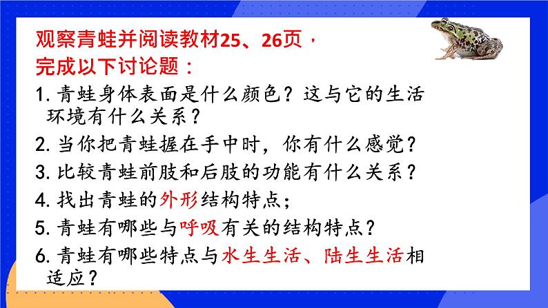 5.1.5《两栖动物和爬行动物》课件+教案+习题04