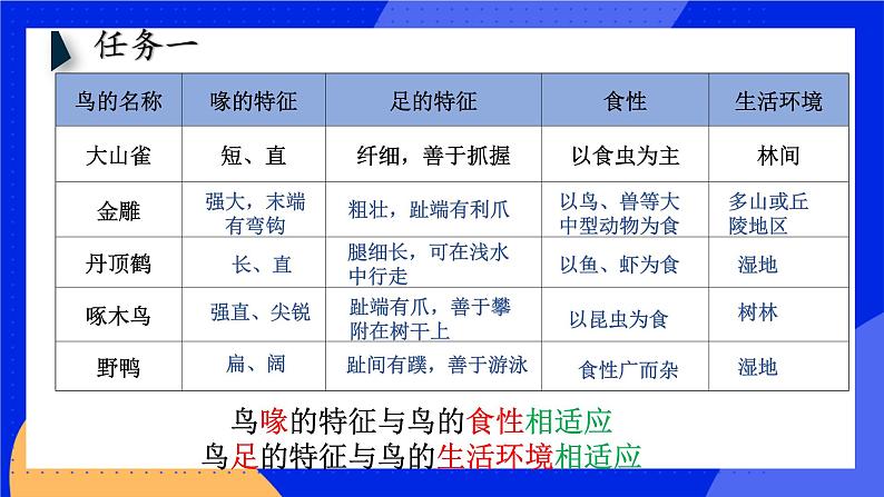 5.1.6《鸟》课件+教案+习题08