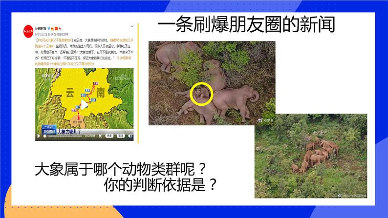 5.1.7《哺乳动物》课件+教案+习题03