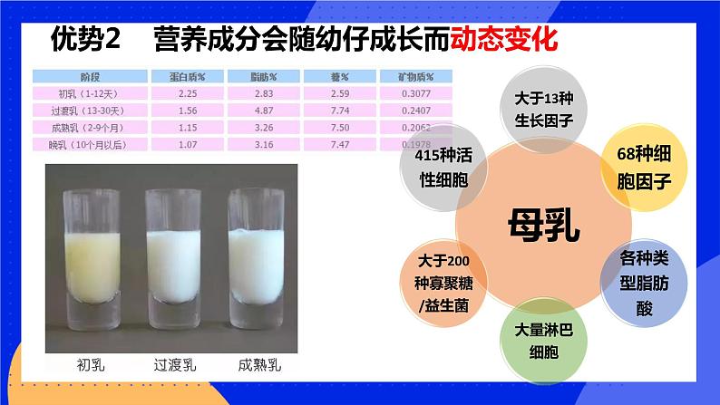 5.1.7《哺乳动物》课件+教案+习题07