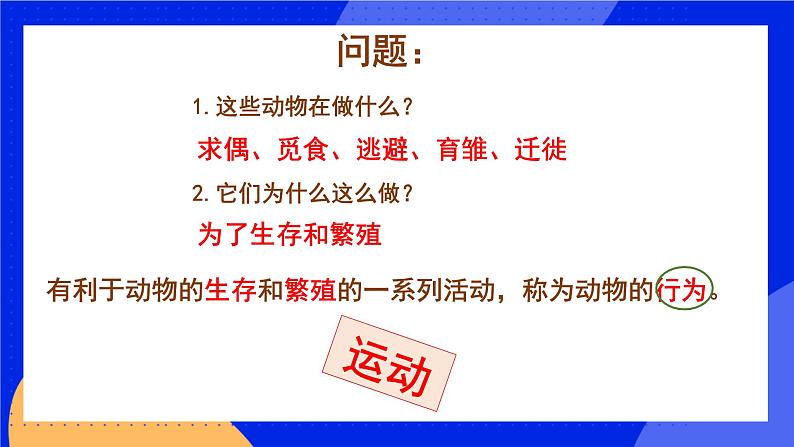 5.2.1《动物的运动》课件+教案+习题03