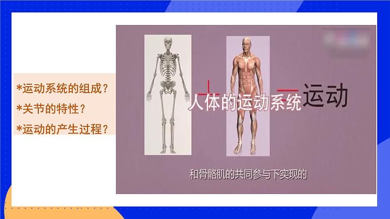 5.2.1《动物的运动》课件+教案+习题06