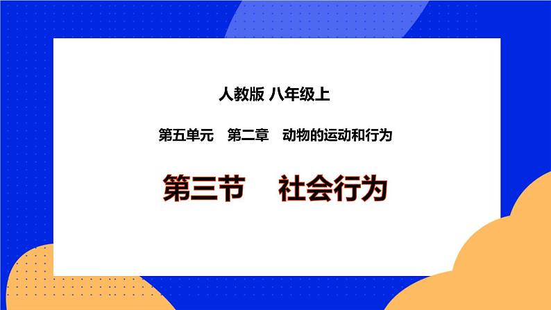 5.2.3《社会行为》课件+教案01