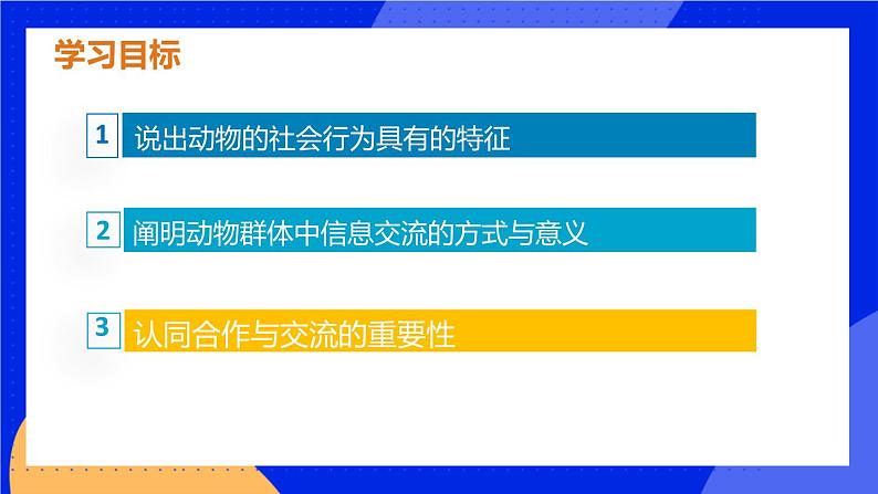 5.2.3《社会行为》课件+教案03