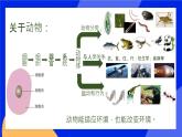 5.3《动物在生物圈中的作用》课件+教案+习题+视频素材