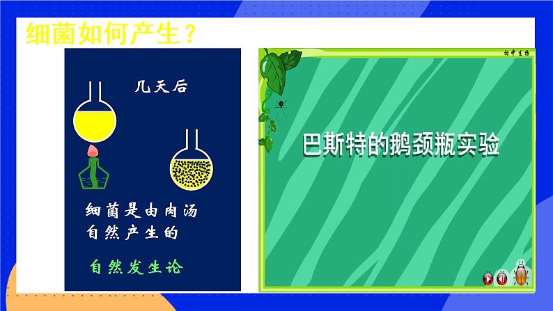 5.4.2《细菌》课件+教案+习题06