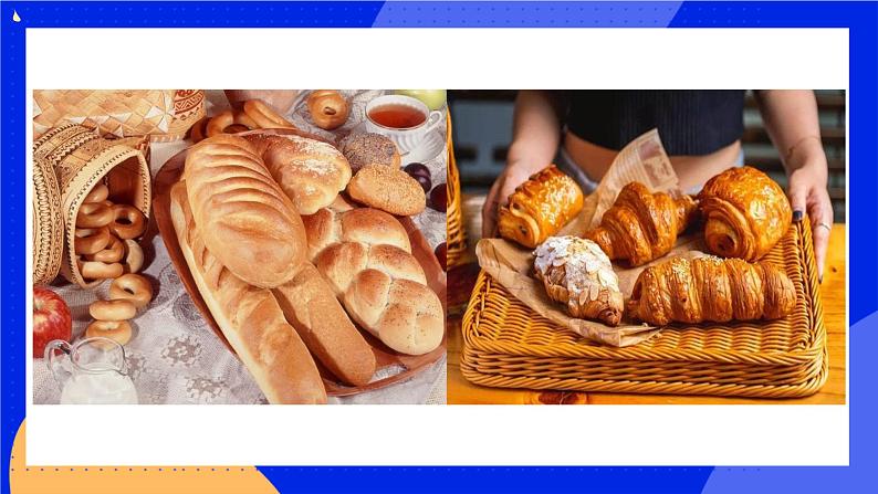 5.4.3《真菌》课件+教案+习题02