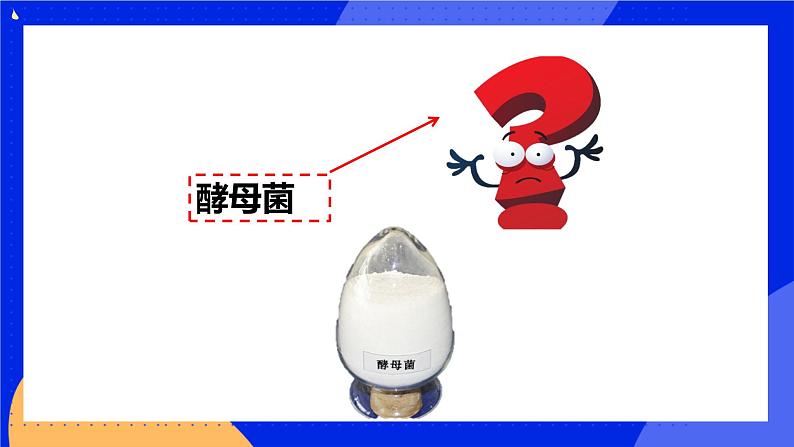 5.4.3《真菌》课件+教案+习题03