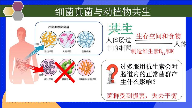 5.4.4《细菌和真菌在自然界中的作用》课件+教案+习题08