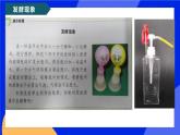 5.4.5《人类对细菌和真菌的利用》课件+教案+习题