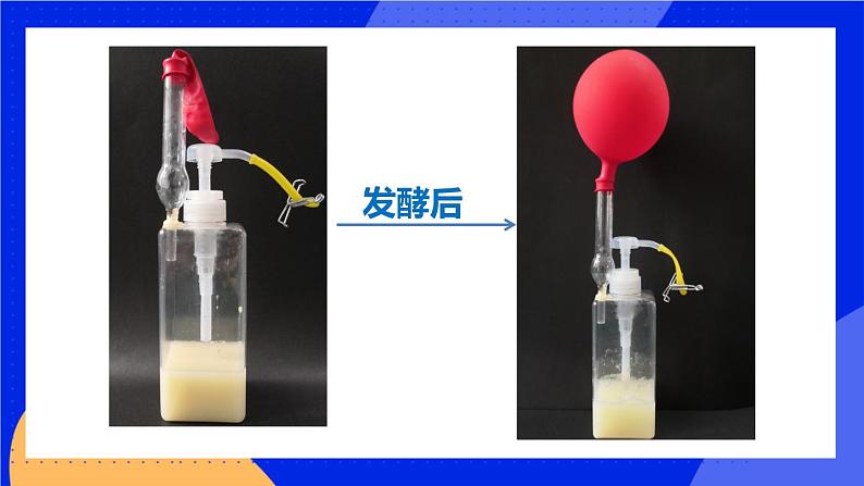 5.4.5《人类对细菌和真菌的利用》课件+教案+习题05