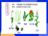 6.1.1《尝试对生物进行分类》课件+教案+习题