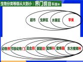 6.1.2《从种到界》课件+教案+习题