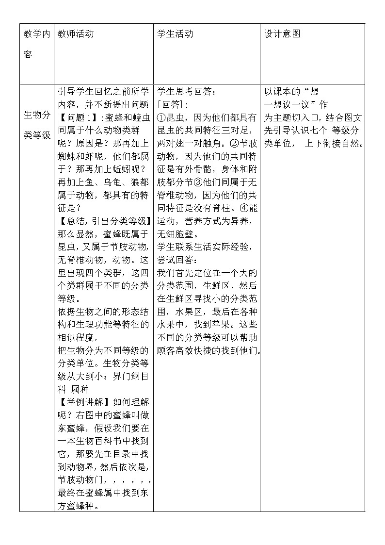 6.1.2《从种到界》课件+教案+习题02