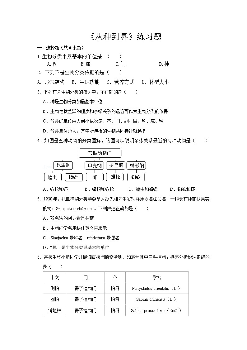 6.1.2《从种到界》课件+教案+习题01