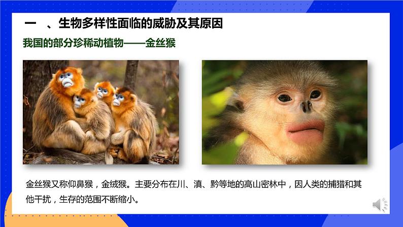 6.3《保护生物的多样性》课件+教案+习题05