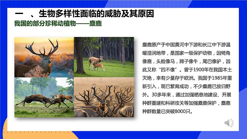 6.3《保护生物的多样性》课件+教案+习题07