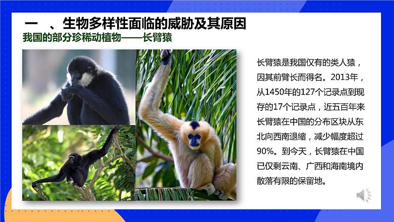 6.3《保护生物的多样性》课件+教案+习题08