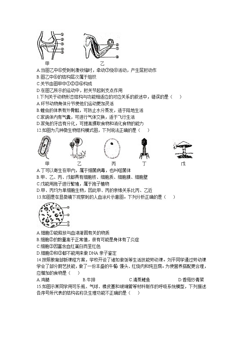 2023年山东省济南市长清区中考一模生物试题03