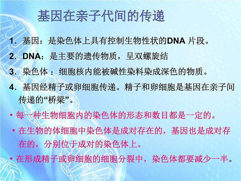 人教版八年级下册生物复习分册梳理课件（人教版）第8页