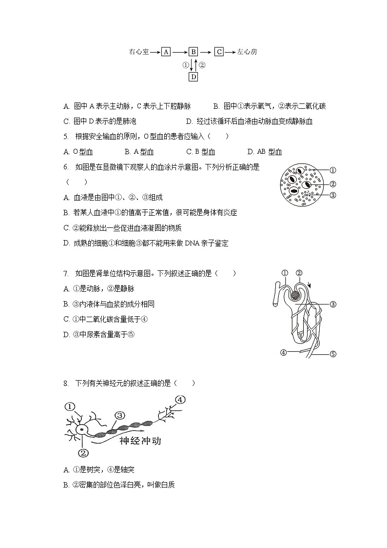 2022-2023学年江苏省徐州市沛县五中八年级（下）月考生物试卷（3月份）（含解析）第2页