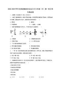 2022-2023学年甘肃省陇南市礼县六中八年级（下）第一次月考生物试卷（含解析）