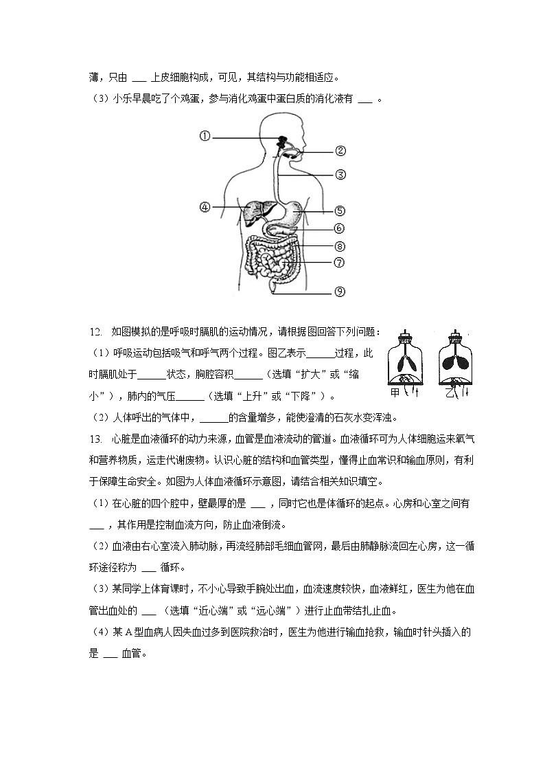 2022-2023学年山东省枣庄实验中学七年级（下）第一次月考生物试卷（含解析）第3页
