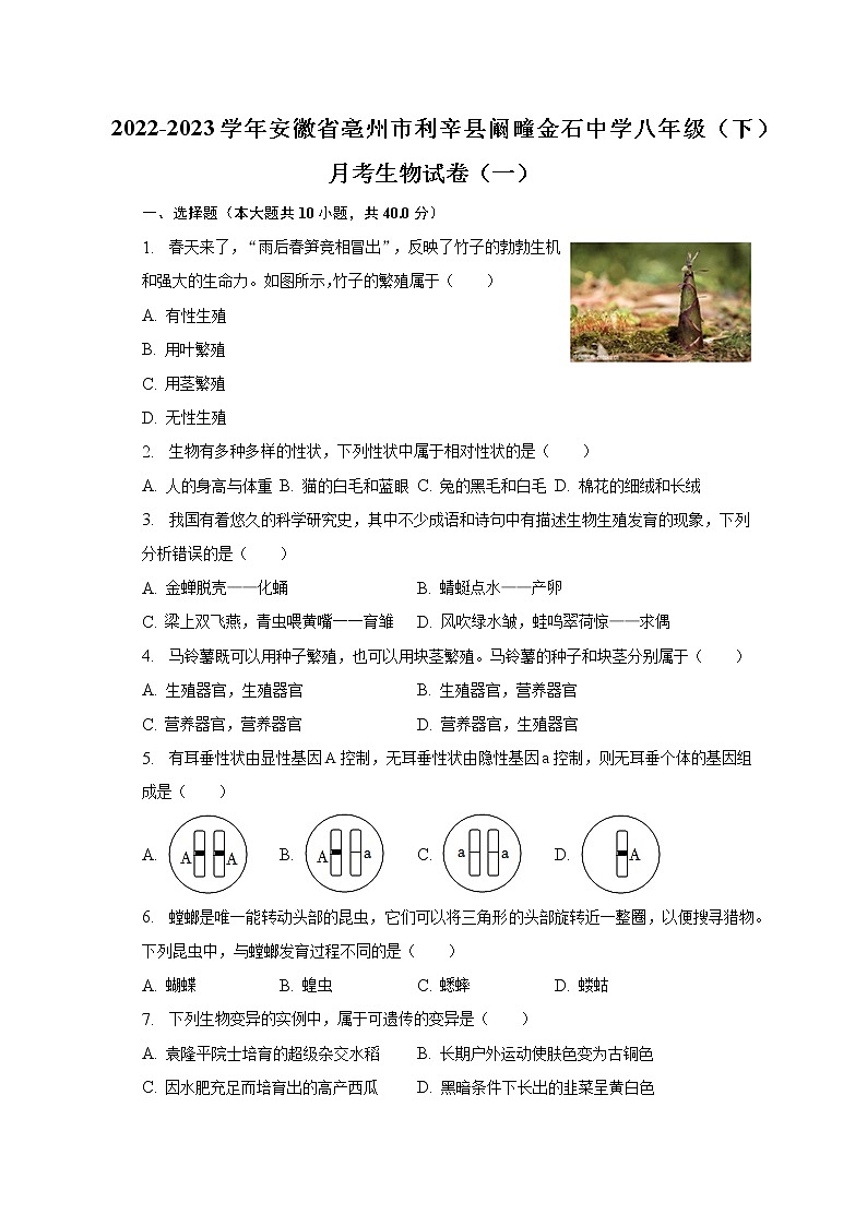 2022-2023学年安徽省亳州市利辛县阚疃金石中学八年级（下）月考生物试卷（一）（含解析）第1页