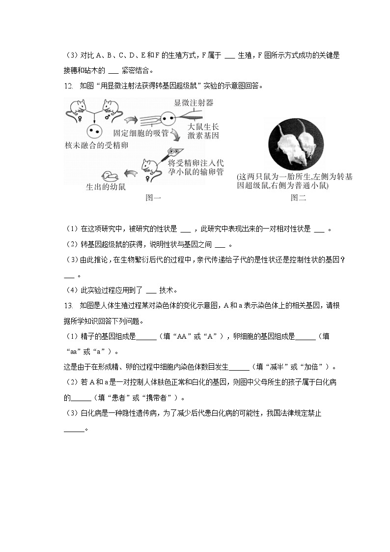2022-2023学年安徽省亳州市利辛县阚疃金石中学八年级（下）月考生物试卷（一）（含解析）第3页