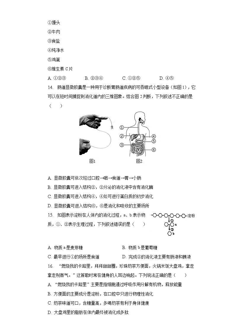 2022-2023学年江苏省盐城市盐都实验初中七年级（下）月考生物试卷（3月份）（含解析）03