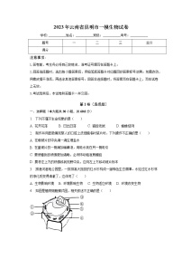 2023年云南省昆明市一模生物试卷（含答案）