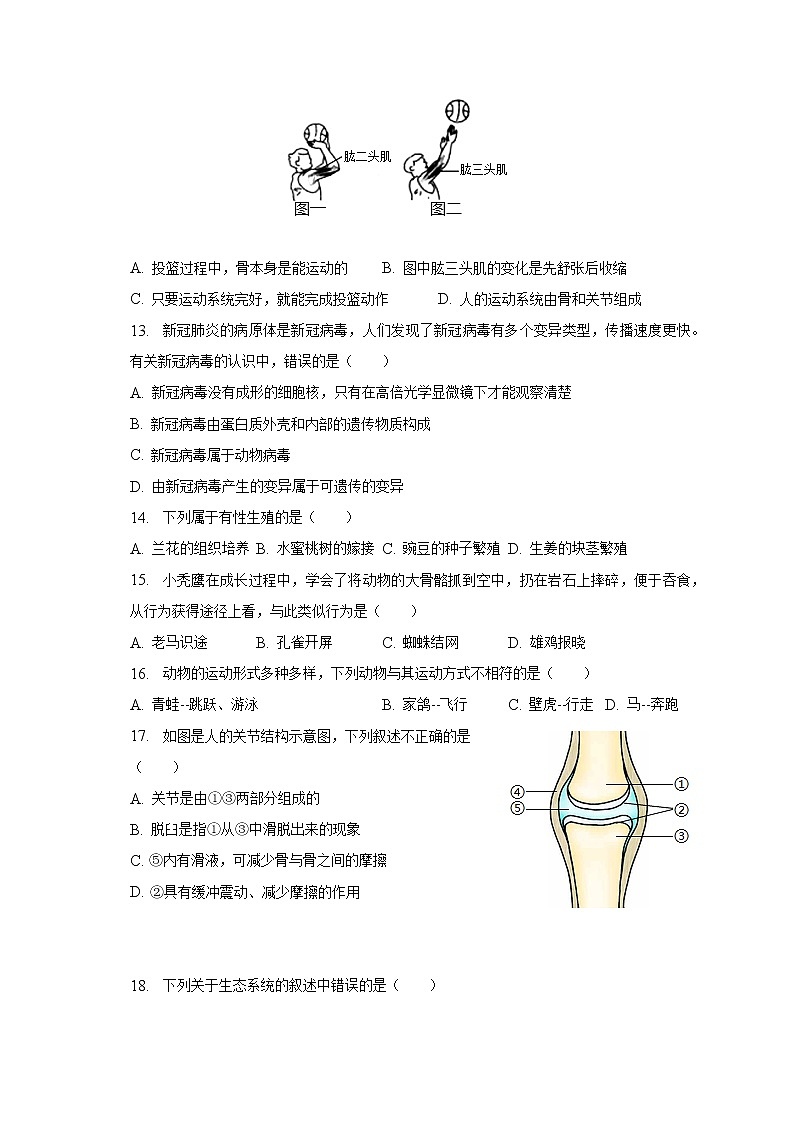 2022-2023学年河南省开封市八年级（下）月考生物试卷（含解析）03
