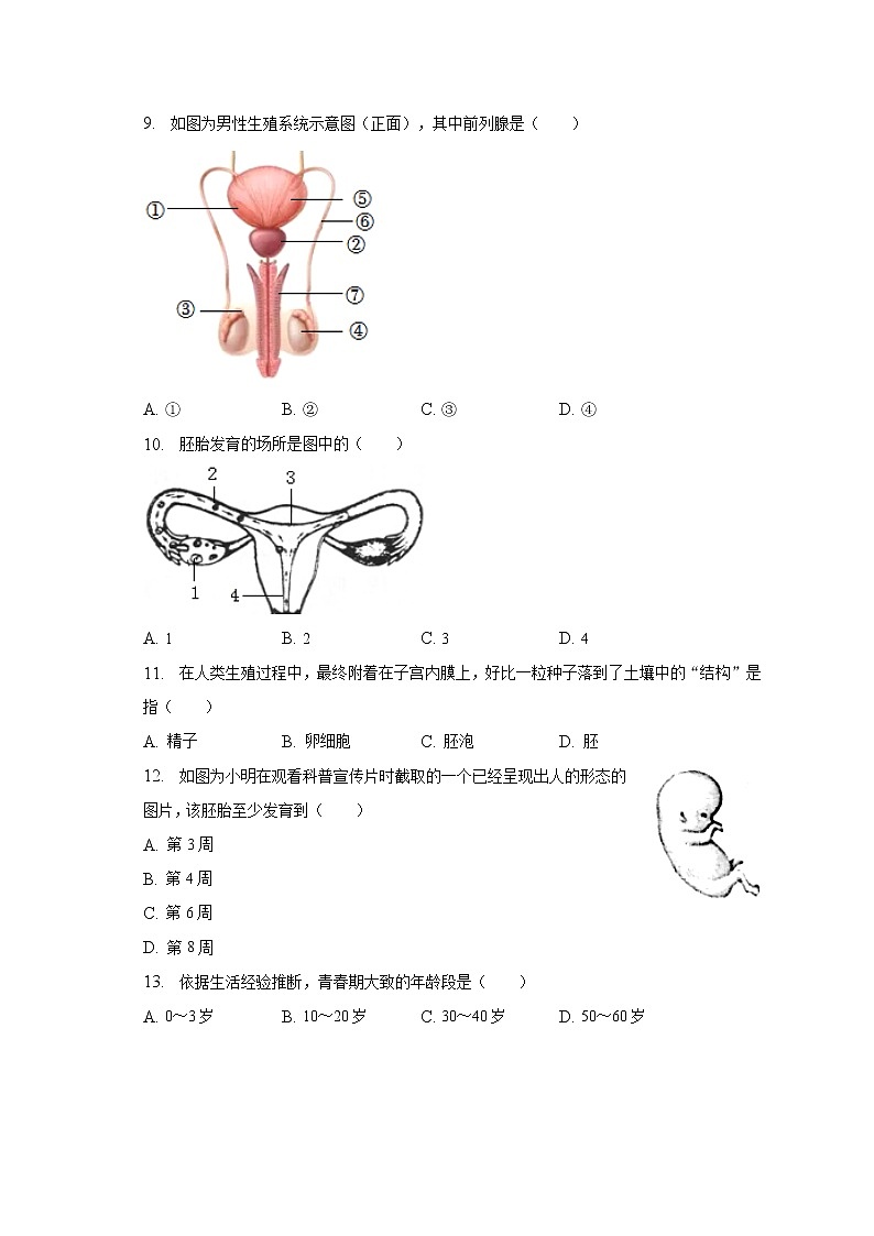 2022-2023学年陕西省宝鸡市凤翔县柳林中学七年级（下）段考生物试卷（含解析）02