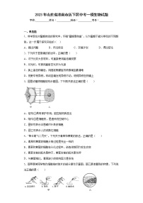 2023年山东省济南市历下区中考一模生物试题（含答案）