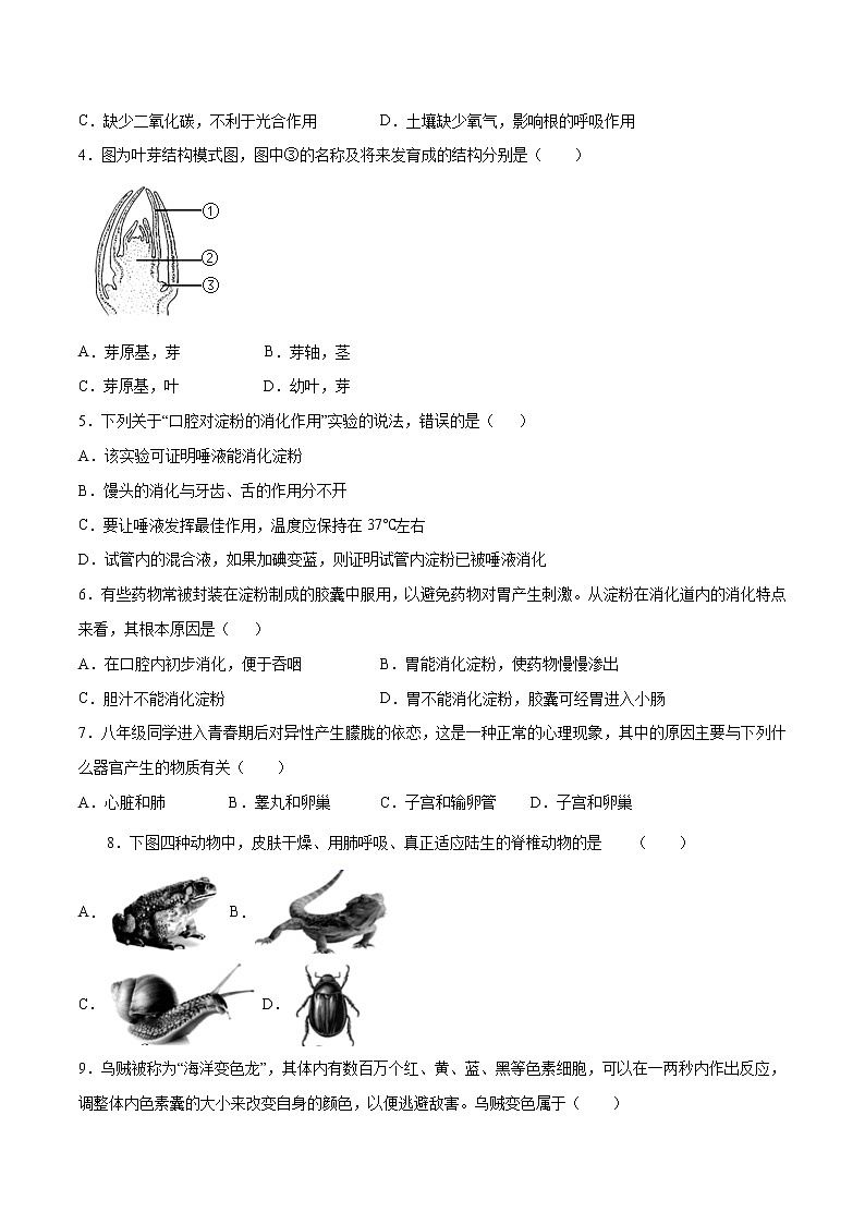 初中生物中考复习 （安徽卷）2021年中考生物第一次模拟考试（A4考试版）02
